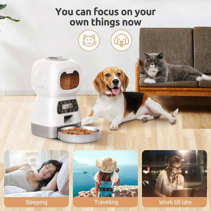 Alimentador De Ração Para Cães E Gatos automático